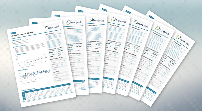 Fund Factsheet Templates Duplicates - Image